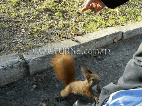 Изображение Шкло (Львовская Область) санаторий