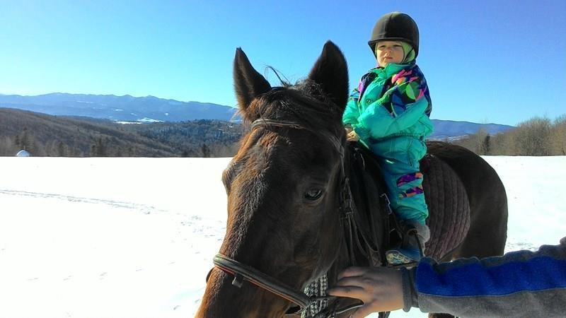 Фото Карпатские Полонины 3*