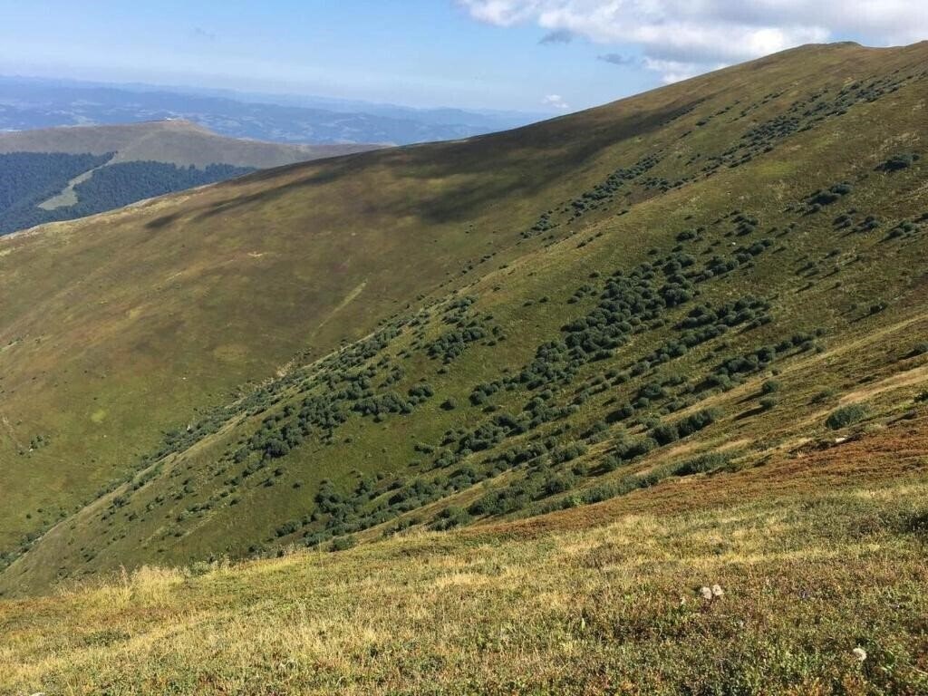 Изображение Сонячне Закарпаття Санаторій санаторий