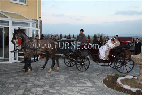 Изображение Благодать 3*