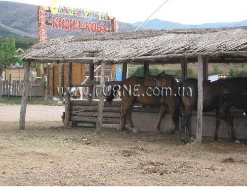 Изображение Кизил-Коба отель без категории