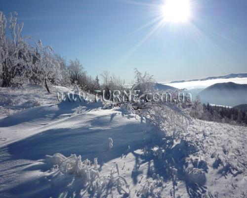 Отель Лилиана 2*