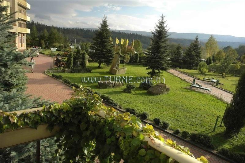 Отель Resort Hotel Karpaty 4*