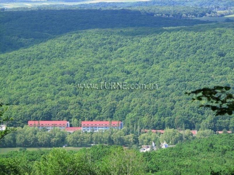 Фотография Теплиця 3*