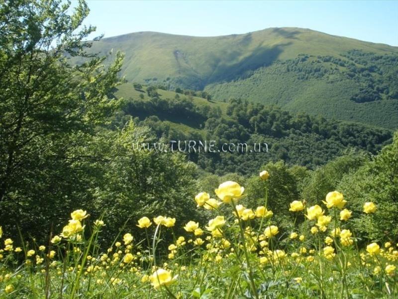 Фото Теплиця 3*