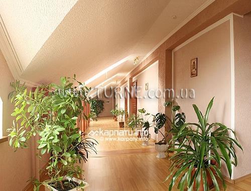 Изображение Геликон 3*