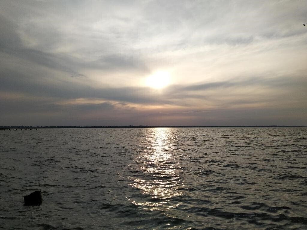 Фотография Inn Estio 3*