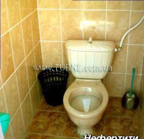 Фото Нефертити пансионат