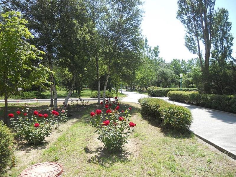 Изображение Прибой пансионат