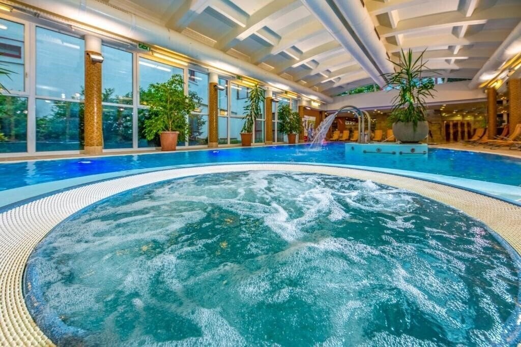 Отель Drava Hotel Thermal Resort 4*