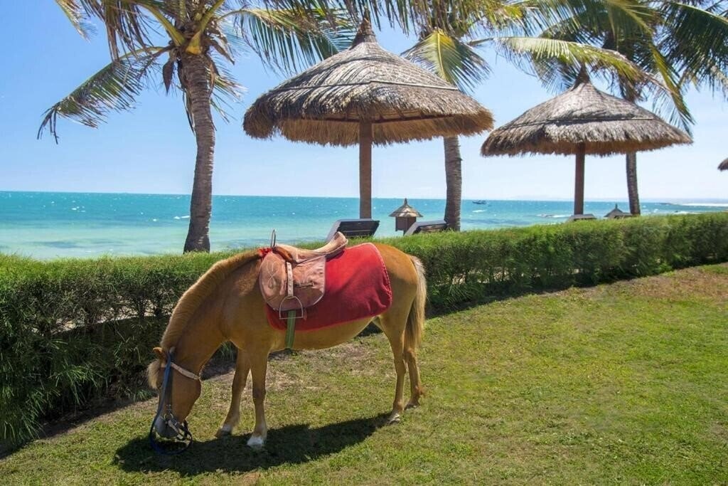 Изображение Victoria Phan Thiet 4*