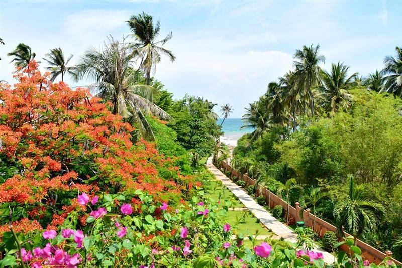 Фото Bavico Boutique Resort Muine 3*