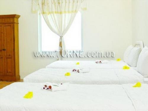Фотография Apricot Resort 3*