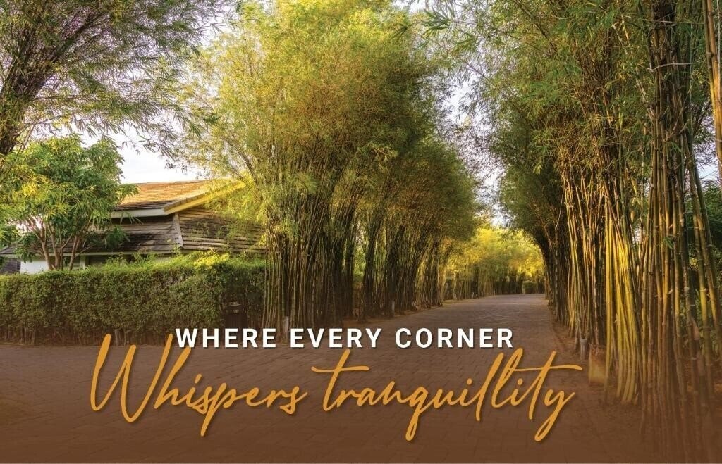 Картинка Shells Resort And Spa 5*