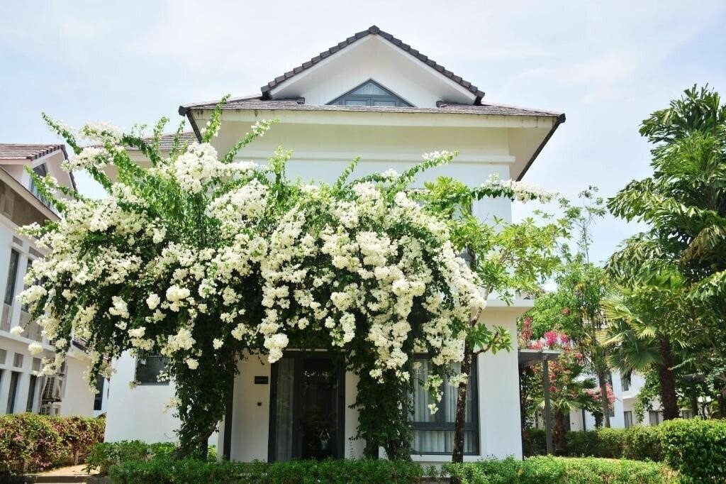 Фотография Sunset Sanato Resort & Villas 4*