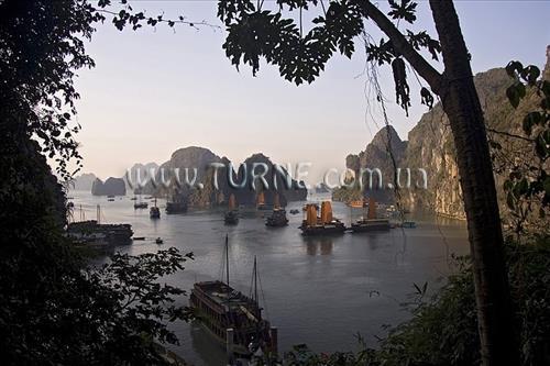 Отель Serenade 3*