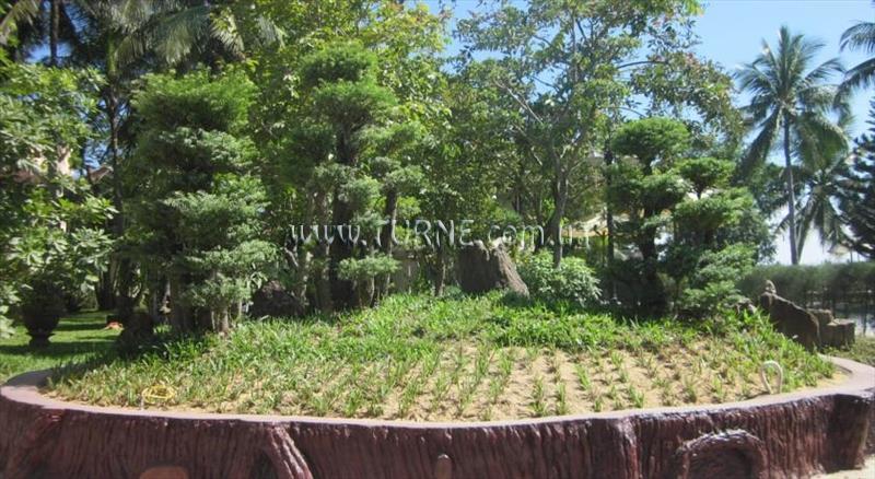 Изображение Hoi An Riverside 4*