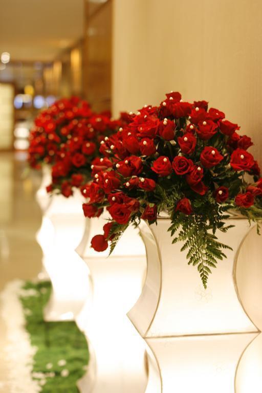 Фотография New World 5*