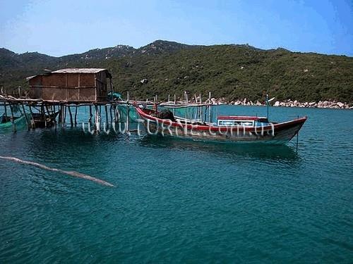 Отель Whale Island Resort 2*