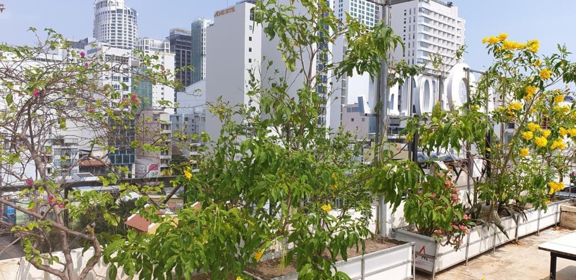 Отель Ximao Hotel Nha Trang by Zuzu 3*