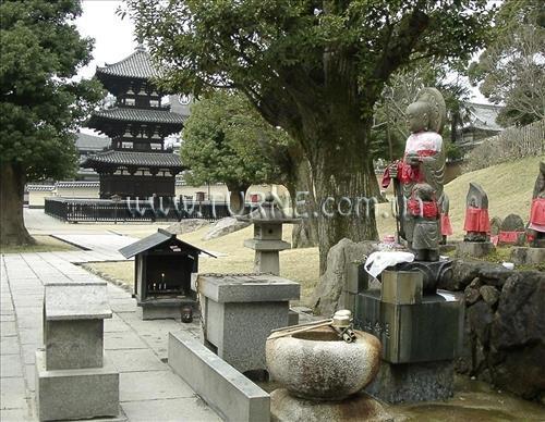 Фотография Nikko Nara 3*