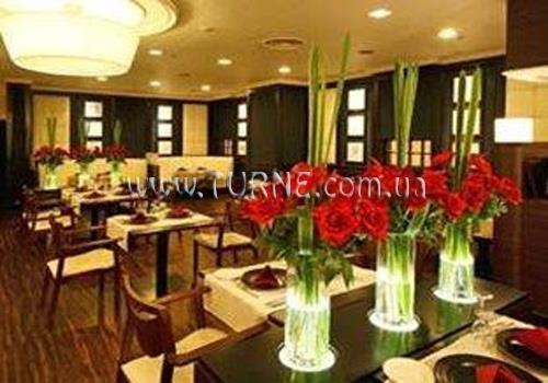 Отель New Hankyu Osaka 3*