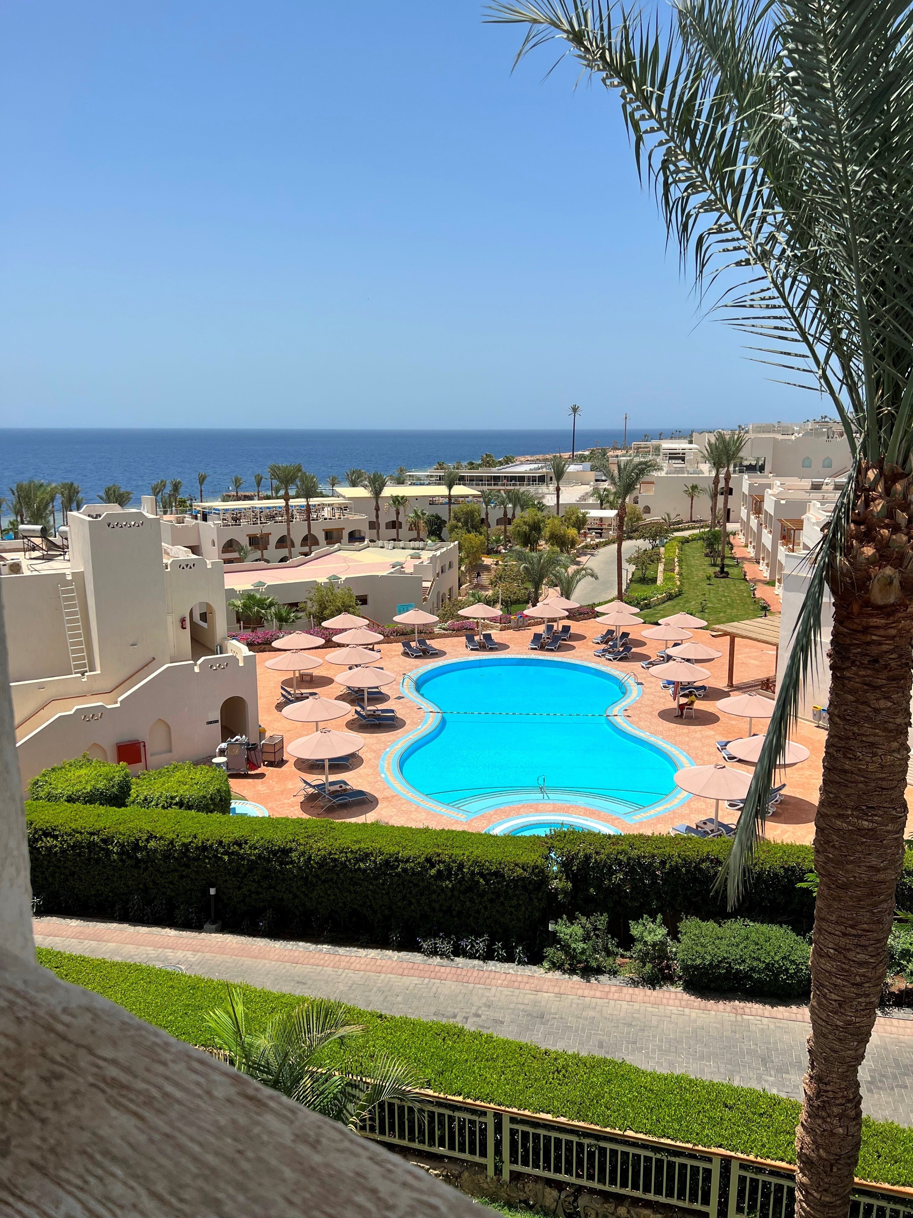 SUNRISE Diamond Beach Resort - Grand Select — туры в отель SUNRISE Diamond  Beach Resort - Grand Select (ЕгипетШарм-эль-Шейх): Цена, отзывы, фото  гостиницы